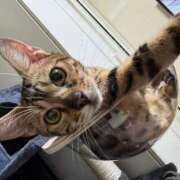 ヒメ日記 2025/04/07 09:29 投稿 あきら 丸妻 横浜本店