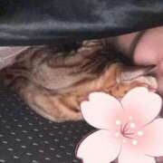 ヒメ日記 2025/04/13 15:25 投稿 あきら 丸妻 横浜本店