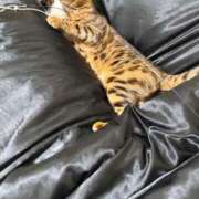 ヒメ日記 2025/04/28 08:10 投稿 あきら 丸妻 横浜本店