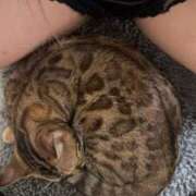 ヒメ日記 2025/05/03 19:31 投稿 あきら 丸妻 横浜本店