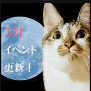 ヒメ日記 2025/05/04 22:05 投稿 あきら 丸妻 横浜本店