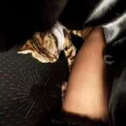 ヒメ日記 2025/05/10 22:45 投稿 あきら 丸妻 横浜本店