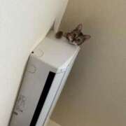 ヒメ日記 2025/05/18 15:44 投稿 あきら 丸妻 横浜本店