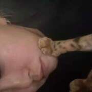 ヒメ日記 2025/05/19 07:32 投稿 あきら 丸妻 横浜本店