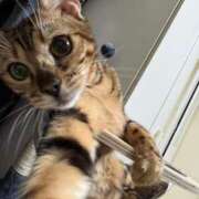 ヒメ日記 2025/06/04 01:53 投稿 あきら 丸妻 横浜本店