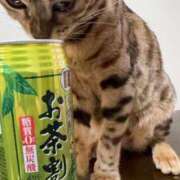 ヒメ日記 2025/06/05 18:48 投稿 あきら 丸妻 横浜本店