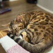 ヒメ日記 2025/06/06 08:34 投稿 あきら 丸妻 横浜本店