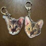 ヒメ日記 2025/06/16 23:05 投稿 あきら 丸妻 横浜本店