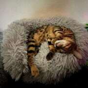 ヒメ日記 2025/06/18 22:01 投稿 あきら 丸妻 横浜本店