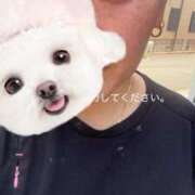 ヒメ日記 2025/06/19 12:07 投稿 あきら 丸妻 横浜本店