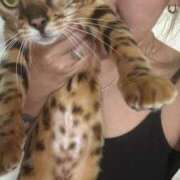 ヒメ日記 2025/06/21 22:42 投稿 あきら 丸妻 横浜本店