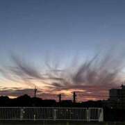 ヒメ日記 2025/07/20 17:57 投稿 あきら 丸妻 横浜本店