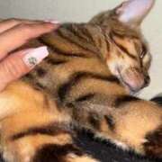 ヒメ日記 2025/07/24 07:27 投稿 あきら 丸妻 横浜本店