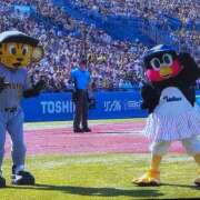 ヒメ日記 2025/07/30 01:14 投稿 あきら 丸妻 横浜本店