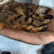 ヒメ日記 2025/08/04 19:02 投稿 あきら 丸妻 横浜本店