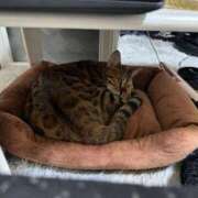 ヒメ日記 2025/08/07 07:11 投稿 あきら 丸妻 横浜本店