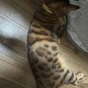 ヒメ日記 2025/08/11 23:04 投稿 あきら 丸妻 横浜本店