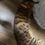 ヒメ日記 2025/08/27 13:49 投稿 あきら 丸妻 横浜本店