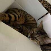 ヒメ日記 2025/09/11 14:38 投稿 あきら 丸妻 横浜本店