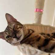 ヒメ日記 2025/09/20 09:17 投稿 あきら 丸妻 横浜本店