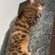 ヒメ日記 2025/09/22 09:36 投稿 あきら 丸妻 横浜本店