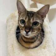 ヒメ日記 2025/09/26 08:25 投稿 あきら 丸妻 横浜本店