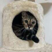 ヒメ日記 2025/09/29 18:37 投稿 あきら 丸妻 横浜本店