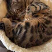 ヒメ日記 2025/11/24 14:55 投稿 あきら 丸妻 横浜本店