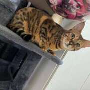 ヒメ日記 2025/11/27 09:45 投稿 あきら 丸妻 横浜本店