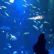 ヒメ日記 2025/11/13 23:16 投稿 まりえ ぽちゃカワ女子専門店宇都宮店