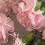 ヒメ日記 2025/08/28 22:18 投稿 アミ マドンナ(仙台)