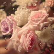 ヒメ日記 2025/11/22 15:49 投稿 アミ マドンナ(仙台)