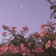 アミ 💌休憩💌 マドンナ(仙台)