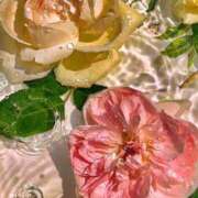 アミ 感謝🙏✨ マドンナ(仙台)