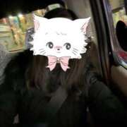 ヒメ日記 2025/02/28 09:53 投稿 かぐや リニューアル