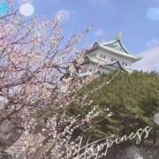 ヒメ日記 2025/03/25 19:18 投稿 香帆/Kaho☆清楚な色香♪ ジュリエット