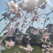 えま えま（clubさくら京橋店） clubさくら京橋店