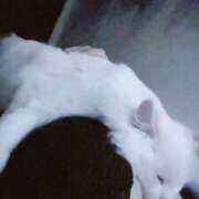 ヒメ日記 2025/01/03 23:08 投稿 のあ でりどす