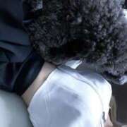 ヒメ日記 2025/01/24 20:04 投稿 のあ でりどす