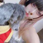 ヒメ日記 2025/03/04 23:15 投稿 のあ でりどす