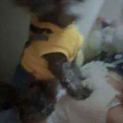 ヒメ日記 2025/03/28 22:30 投稿 のあ でりどす