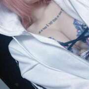 ヒメ日記 2025/03/29 19:49 投稿 のあ でりどす