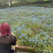 ヒメ日記 2025/05/14 22:40 投稿 のあ でりどす