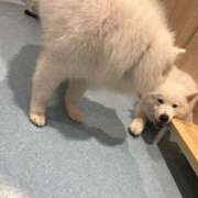 ヒメ日記 2025/05/23 15:45 投稿 のあ でりどす