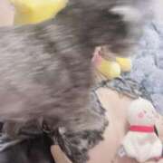 ヒメ日記 2025/05/24 16:31 投稿 のあ でりどす