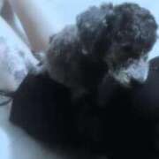 ヒメ日記 2025/06/05 20:00 投稿 のあ でりどす