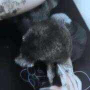 ヒメ日記 2025/06/20 22:30 投稿 のあ でりどす