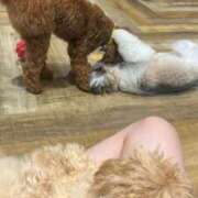 ヒメ日記 2025/07/25 21:45 投稿 のあ でりどす