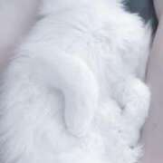 ヒメ日記 2025/08/27 23:00 投稿 のあ でりどす