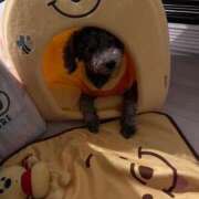 ヒメ日記 2025/08/31 22:01 投稿 のあ でりどす